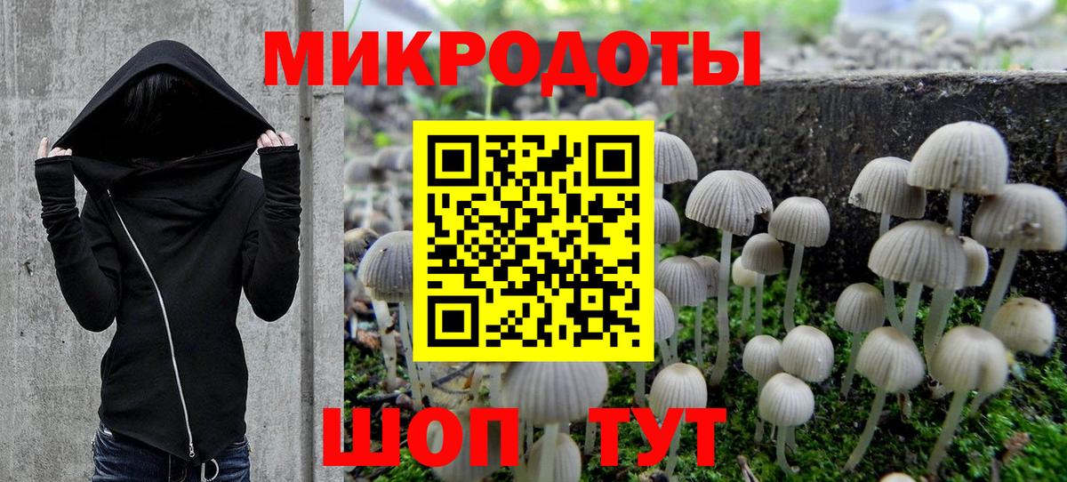 Асино  цена наркотик  Вход с VPN  Псилоцибиновые грибы Psilocybine cubensis 