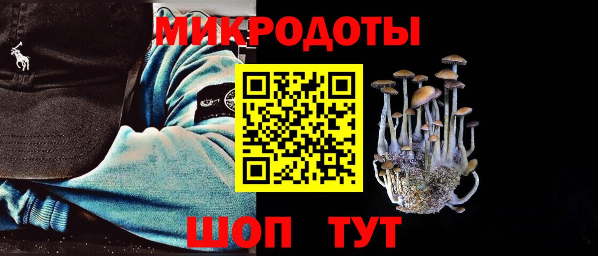 Псилоцибиновые грибы прущие грибы  Асино  Псилоцибиновые грибы Psilocybe 