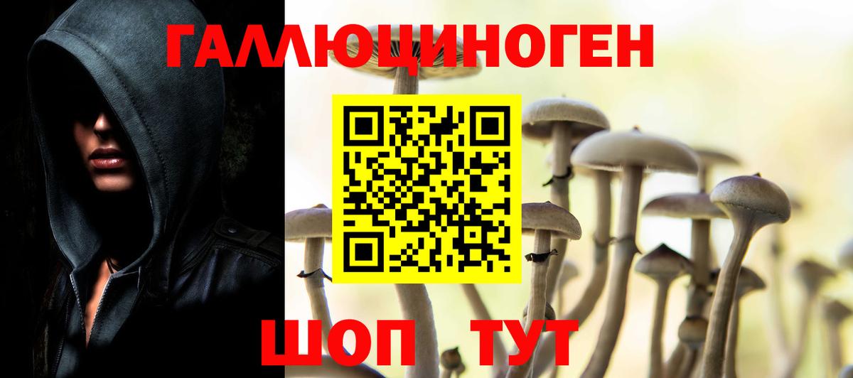 Галлюциногенные грибы Cubensis Асино