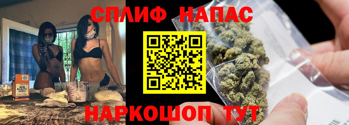 Конопля индика Асино